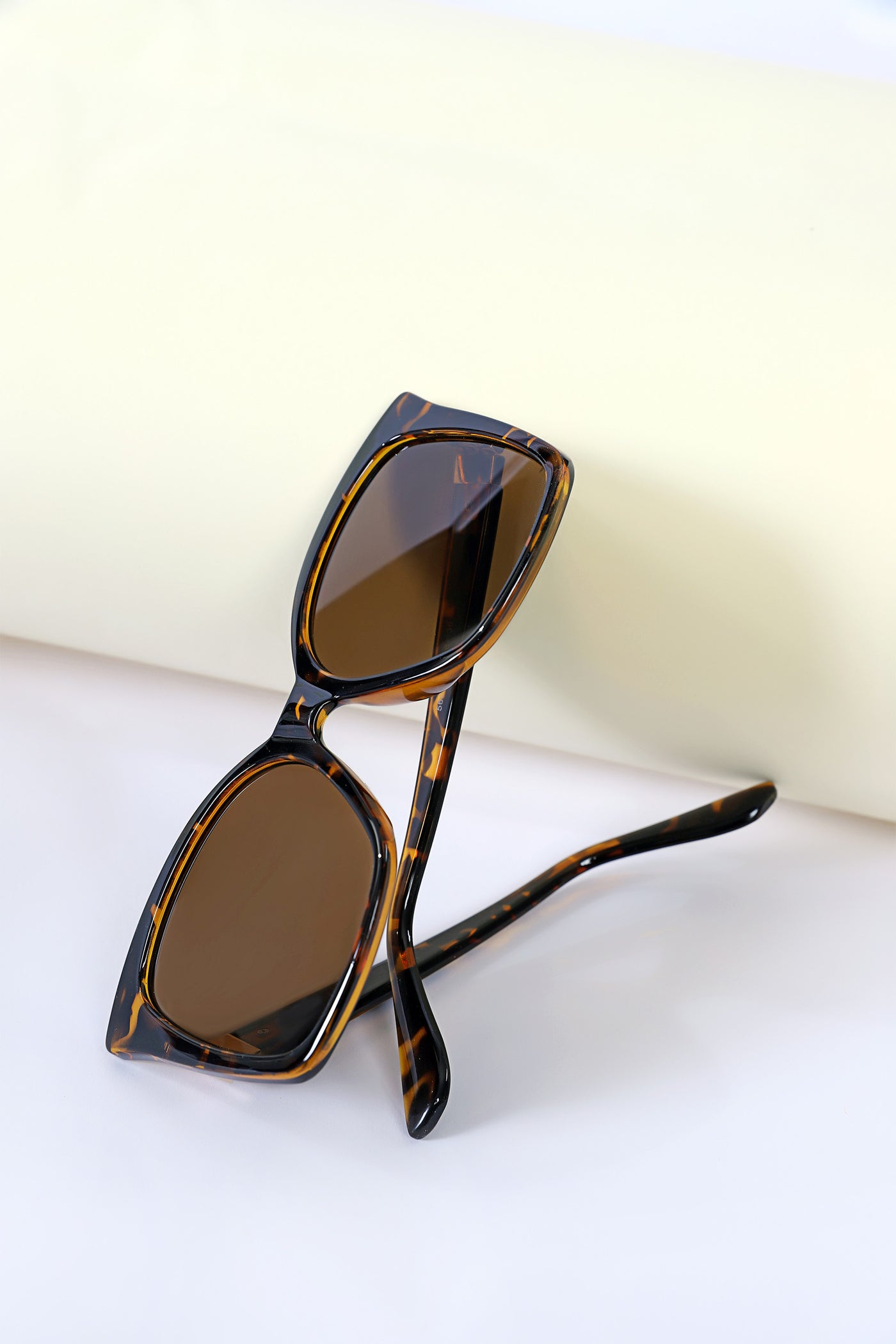 Square Cut Sunglasses | ASG-W23-7