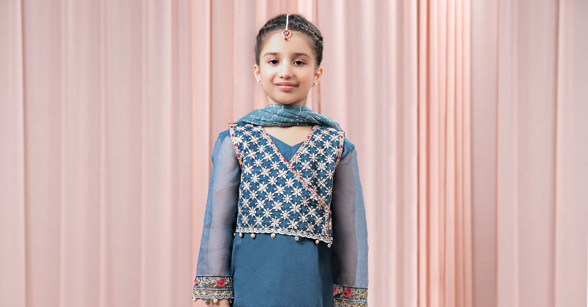 3 PIECE EMBROIDERED ORGANZA SUIT | MKS-EF24-29