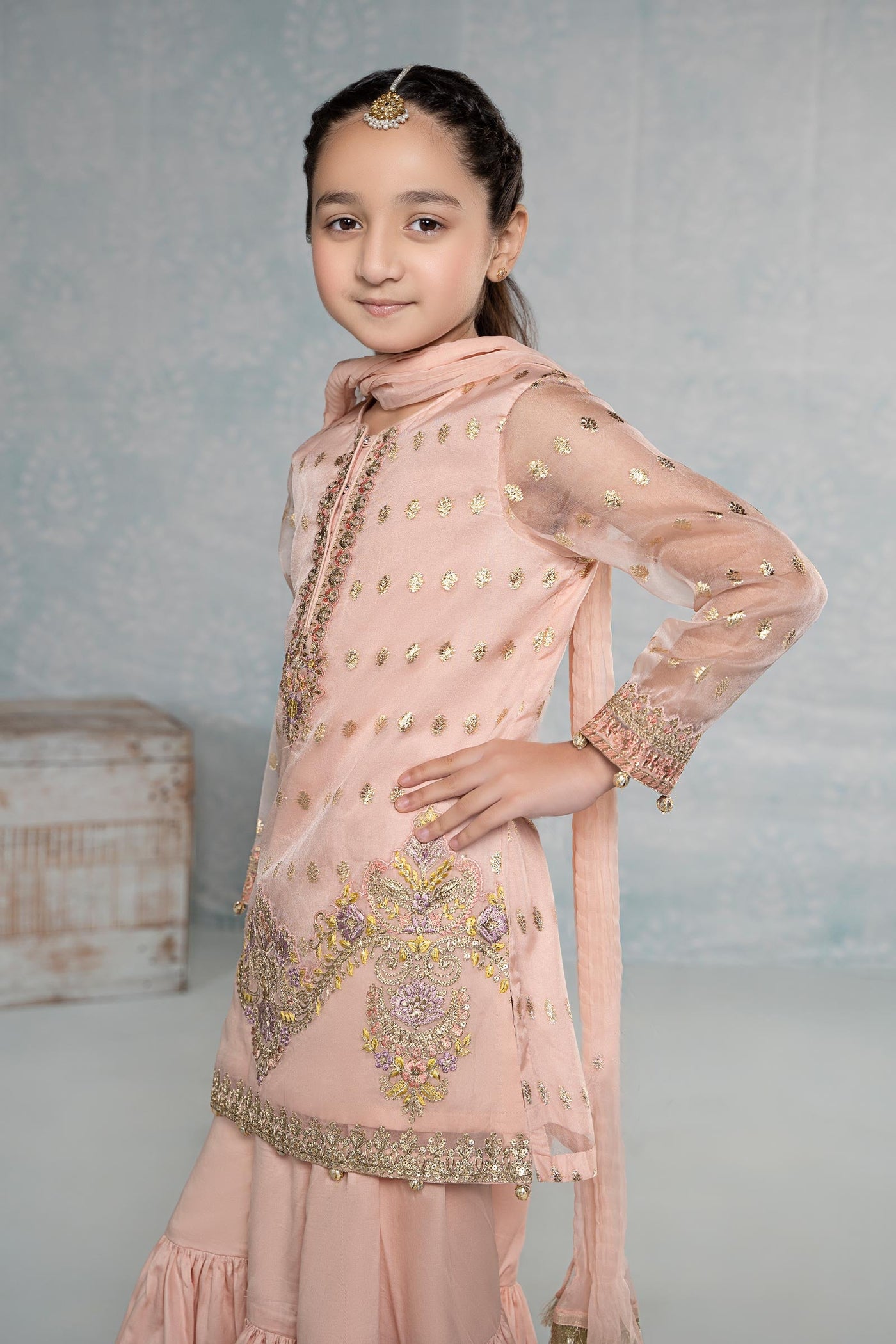 3 PIECE EMBROIDERED ORGANZA SUIT | MKS-EF24-45