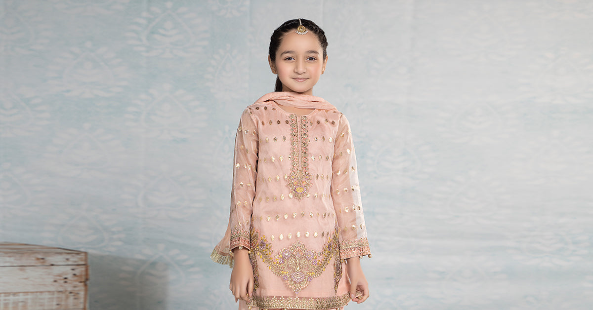 3 PIECE EMBROIDERED ORGANZA SUIT | MKS-EF24-45