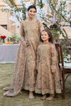 3 Piece Printed Organza Masoori Net Suit