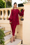 Embroidered Lace Fabric (1Pc)