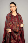 3 Piece Embroidered Twill Linen Suit | DLS-1210