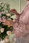 3 Piece Embroidered Chiffon Suit