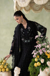 3 Piece Embroidered Chiffon Suit