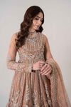 3 Piece Embroidered Net Suit | BDS-2804