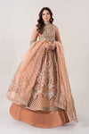 3 Piece Embroidered Net Suit | BDS-2804