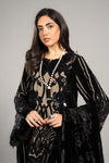 3 Piece Embroidered Velvet Suit | DLS-1205