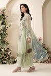 3 Piece Embroidered Chiffon Suit