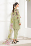 3 Piece Embroidered Cambric Suit