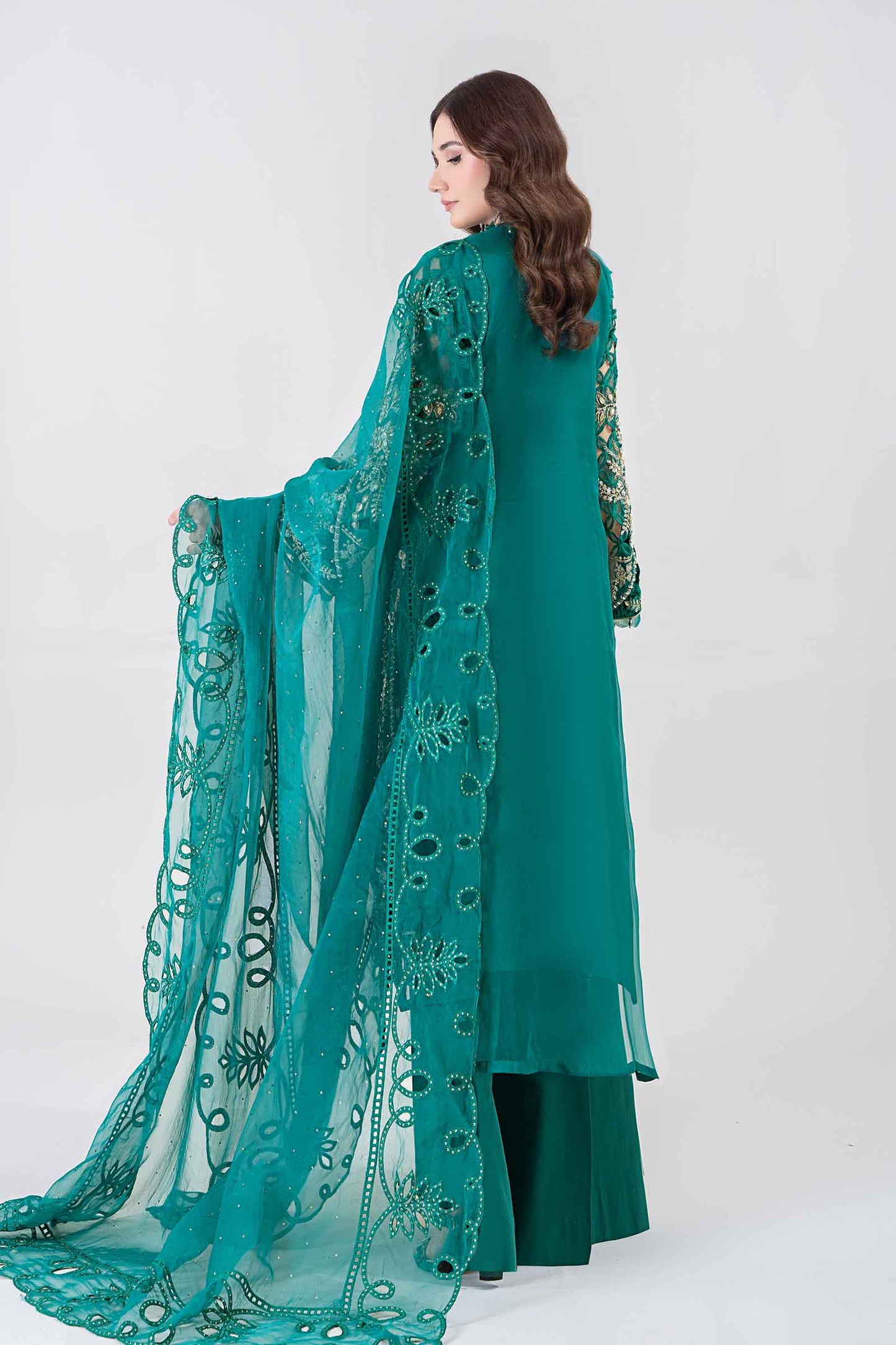 3 Piece Embroidered Organza Suit | BDS-2806
