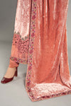 3 Piece Embroidered Palachi Suit | DLS-1206