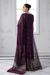 3 Piece Embroidered Net Suit | DS-2507-B