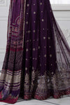 3 Piece Embroidered Net Suit | DS-2507-B