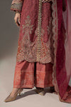 3 Piece Embroidered Organza Suit