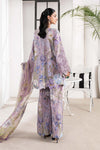 3 Piece Embroidered Cambric Suit