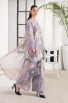3 Piece Embroidered Cambric Suit