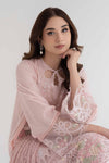 3 Piece Embroidered Lawn Suit | DS-2411-A