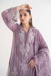 3 Piece Embroidered Organza Suit | DS-2401-A