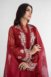 3 Piece Embroidered Organza Suit | DS-2401-B