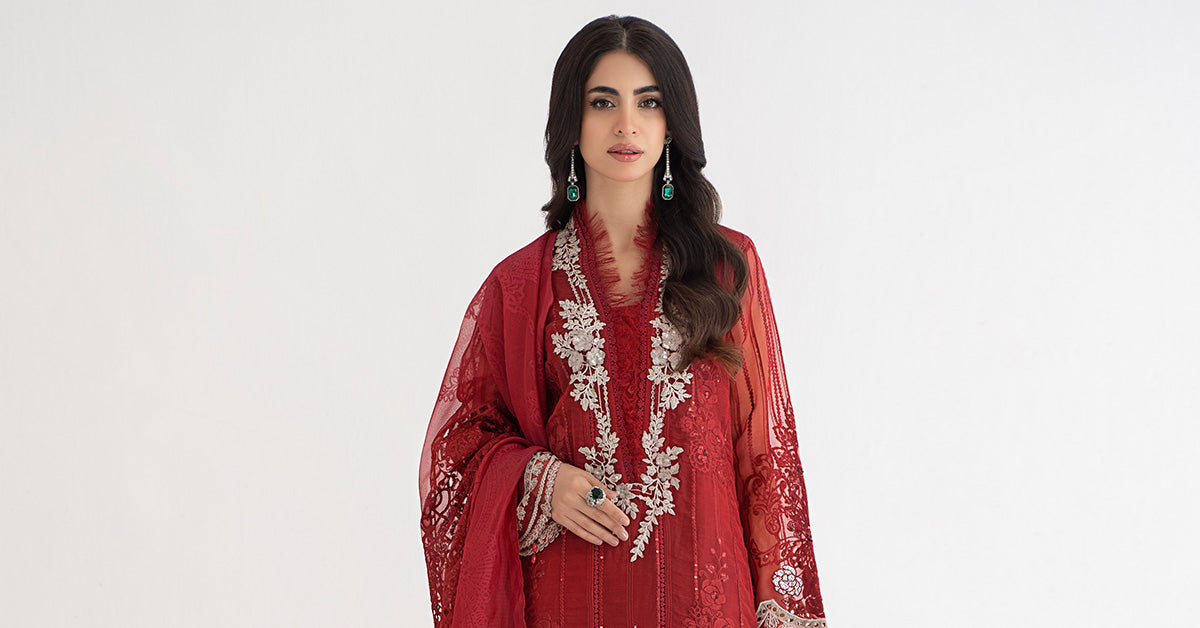3 Piece Embroidered Organza Suit | DS-2401-B
