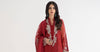 3 Piece Embroidered Organza Suit | DS-2401-B