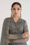 3 Piece Embroidered Net Suit | DS-2403-A