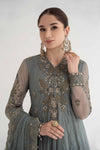 3 Piece Embroidered Net Suit | DS-2403-A