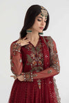 3 Piece Embroidered Net Suit | DS-2403-B