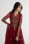 3 Piece Embroidered Net Suit | DS-2403-B