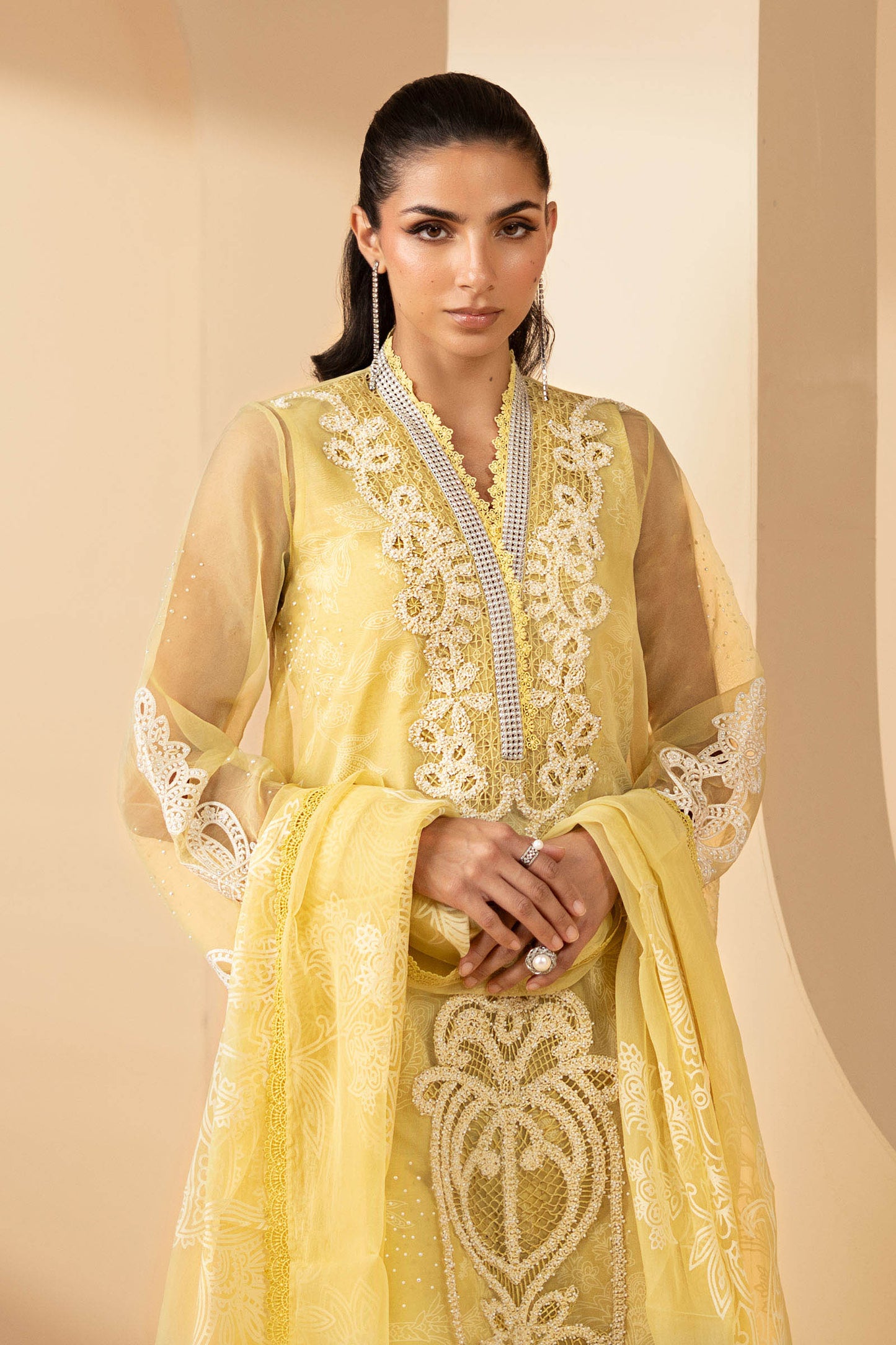 3 Piece Embroidered Organza Suit