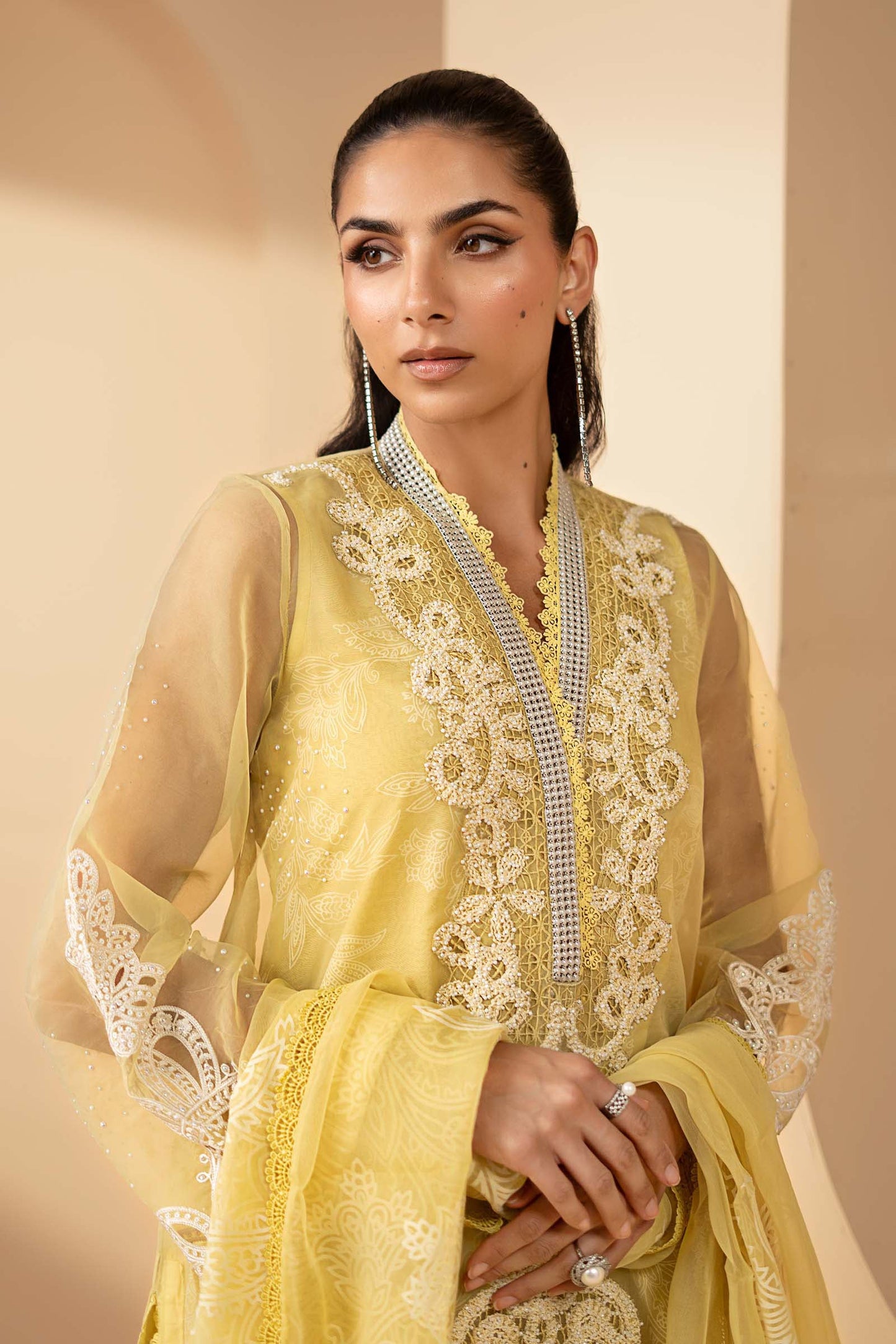 3 Piece Embroidered Organza Suit