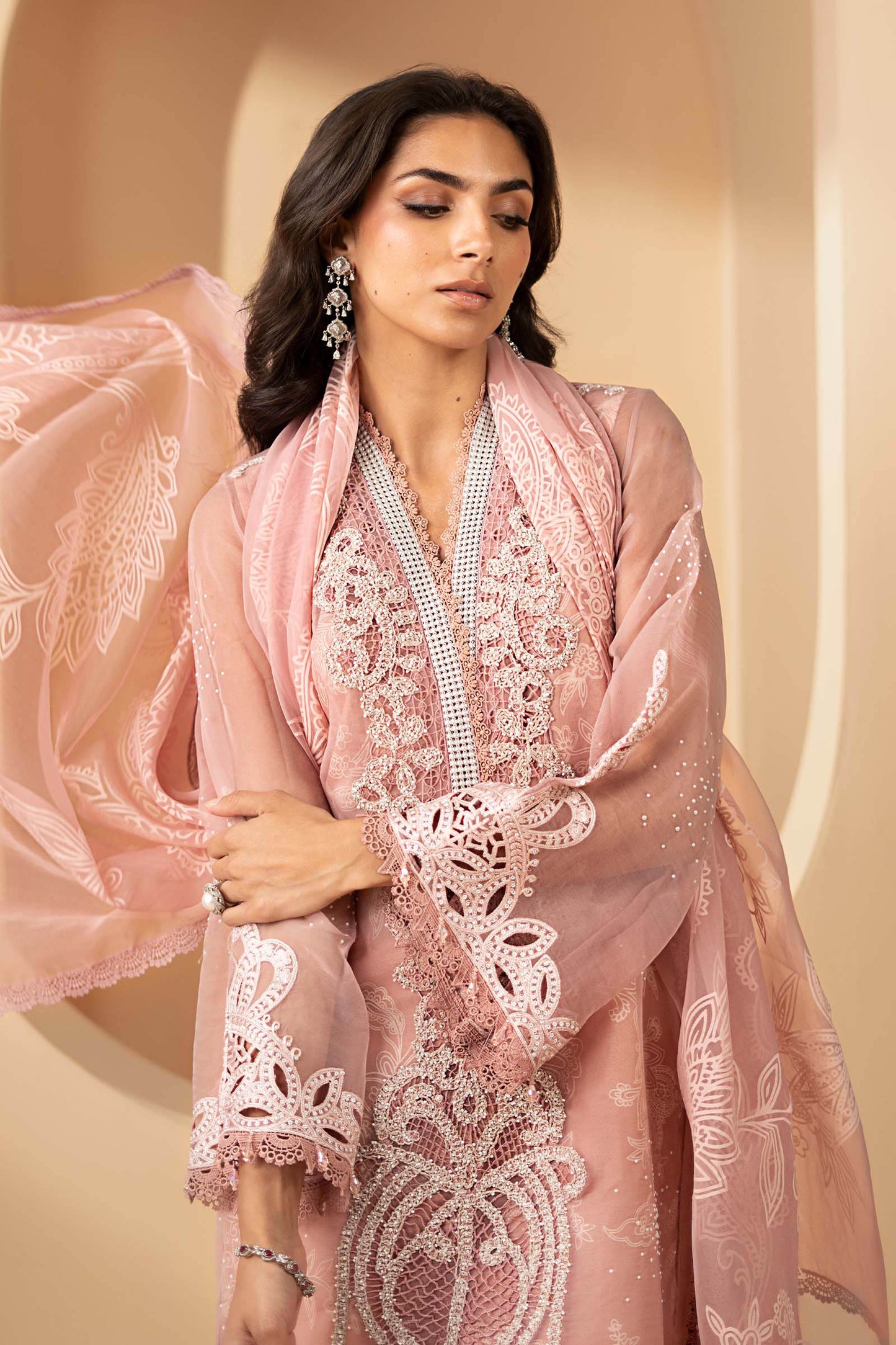 3 Piece Embroidered Organza Suit