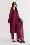 3 Piece Embroidered Dobby Lawn Suit | DS-2409-B