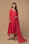 3 Piece Embroidered Suit
