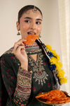 3 Piece Embroidered Khaddar Suit