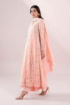 3 Piece Embroidered Polyester Net Suit