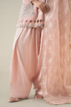 3 Piece Embroidered Paper Cotton Suit