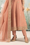 3 Piece Embroidered Cotton Net Suit