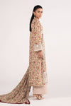 3 Piece Embroidered Net Suit