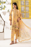 3 Piece Embroidered Lawn Suit