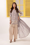 3 Piece Embroidered Silk Suit