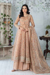 3 Piece Printed Cotton Net Suit
