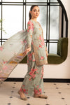 3 Piece Embroidered Lawn Suit