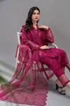 Suit Magenta ELS-23-09