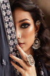Embroidered Chiffon Fabric (2Pcs) | LF-919