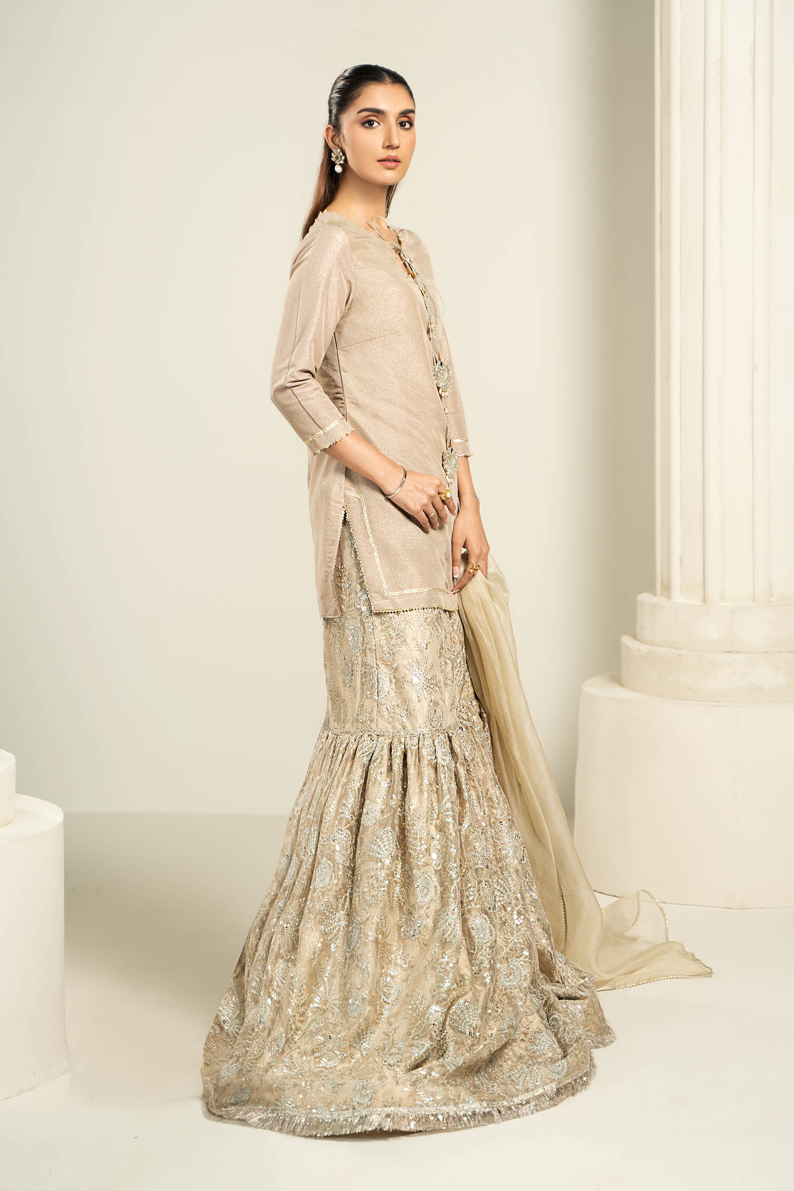 Embroidered Zari Net Fabric (2Pcs) | LF-726
