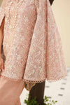 Embroidered Net Fabric (2Pcs) | LF-802
