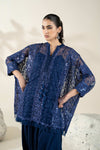 Embroidered Organza Fabric (2Pcs) | LF-908