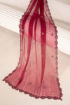 Embroidered Chiffon Fabric (3Pcs)